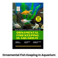 Ornamental Fish Keeping In Aquarium