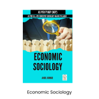 Economic Sociology